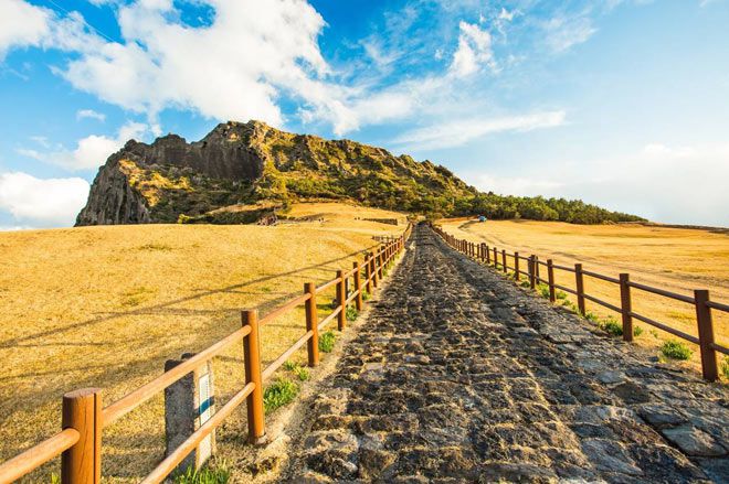 Tour Hàn Quốc 6N5Đ mùa thu: Seoul - Jeju - Nami - Cỏ hồng - Du thuyền bay 7C